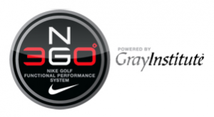 N3GO Nike GrayInstitute